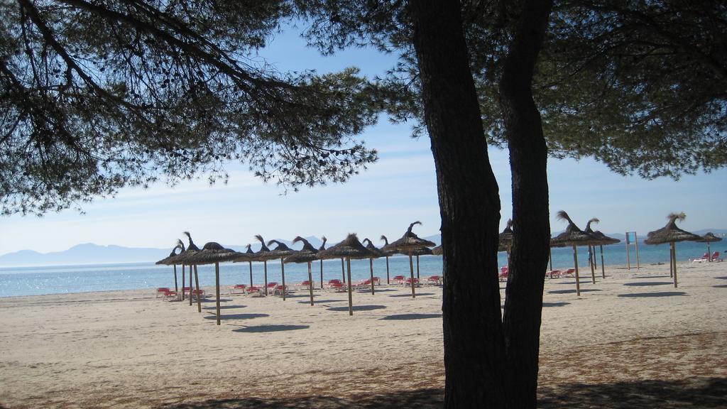 Beach Apartment Minerva Port de Alcudia  Номер фото